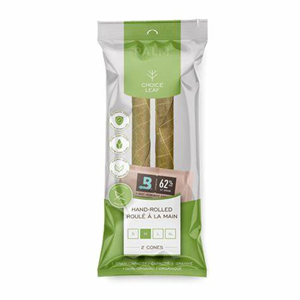Choice Leaf | PALM | L